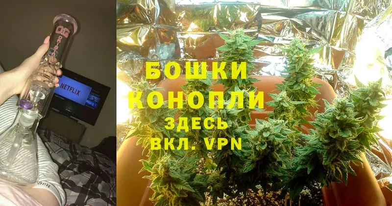 Бошки Шишки White Widow  где найти наркотики  Ленинск 